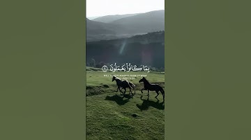 سورة فصلت الاية 19-21 #اذكر_الله #القرآن_الكريم #راحة_نفسية