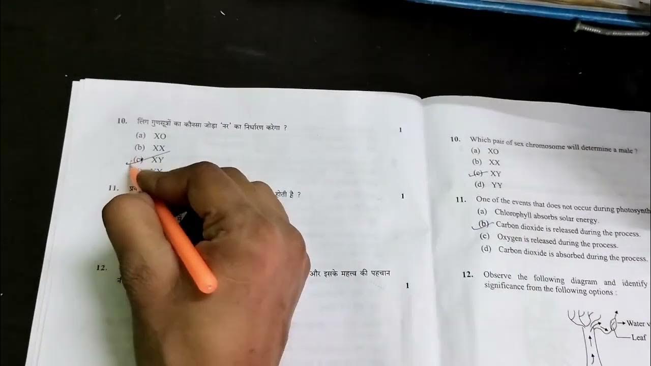 class 10th science paper set 2 All suolution. YouTube