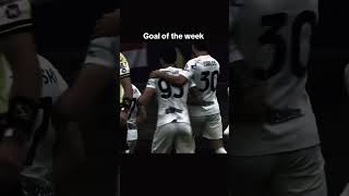 Inter Milan Zilenski Goal Toady