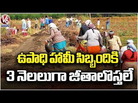 Employment Guaranteed Staff Facing Difficulties Due To Salaries Delay For 3 Months | VB-G RAM G | V6 - V6NEWSTELUGU