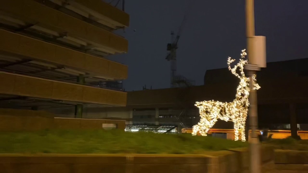Queensgate’s Reindeer with We Love Peterborough