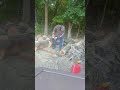 #echo #chainsaw #cs7310p
