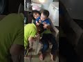 Ahmed Yusra horiyaa enjoying kids👍❤️😆😁🎇🥰😍👌😛👏🥳🎂🤩