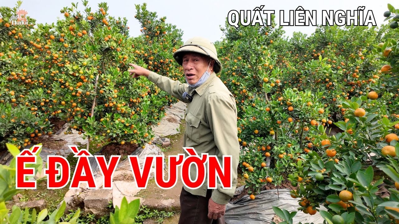 Nông dân Liên Nghĩa 