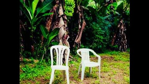 BAD BUNNY FT OMAR COURTZ DEI V- VELDA