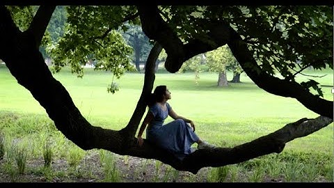 DELPHI Summer Teen Media 2021 IMPACT VIDEO Final