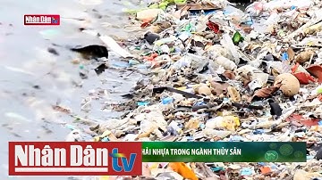 Giảm thiểu rác thải nhựa trong ngành thủy sản