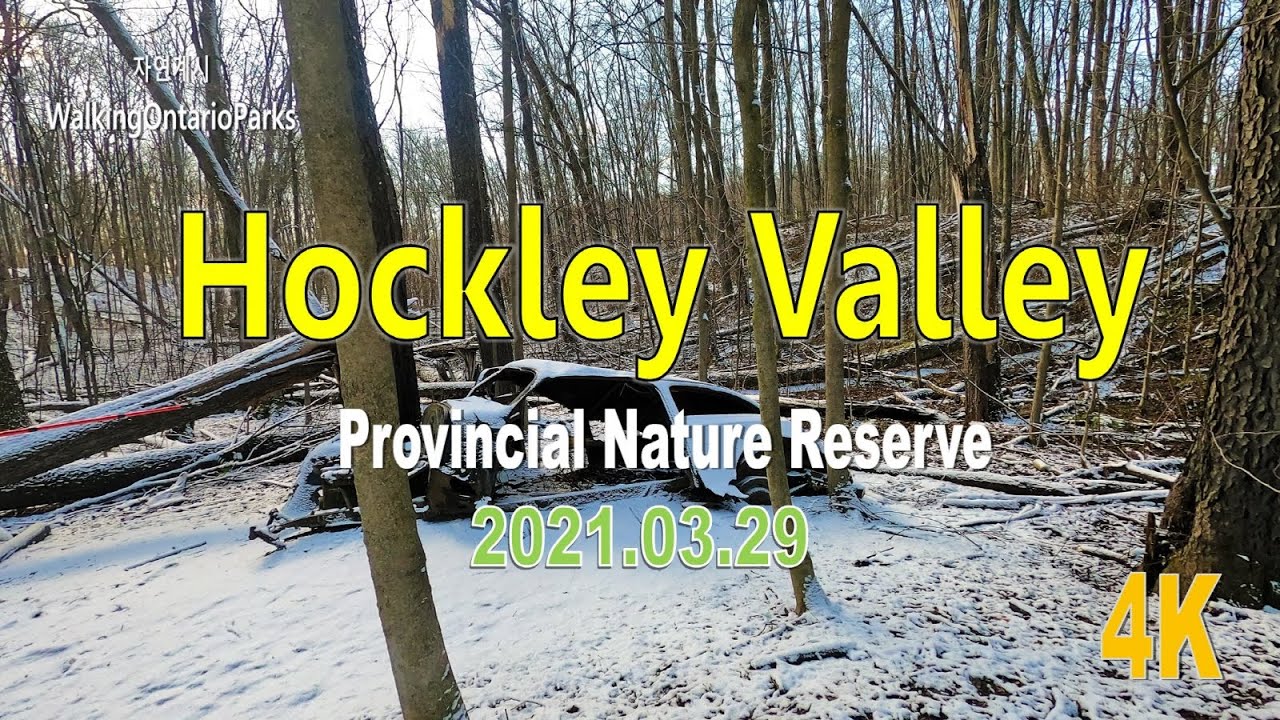 [4K] Hockley Valley Provincial Nature Reserve, Mono, #2, [2021.03.29