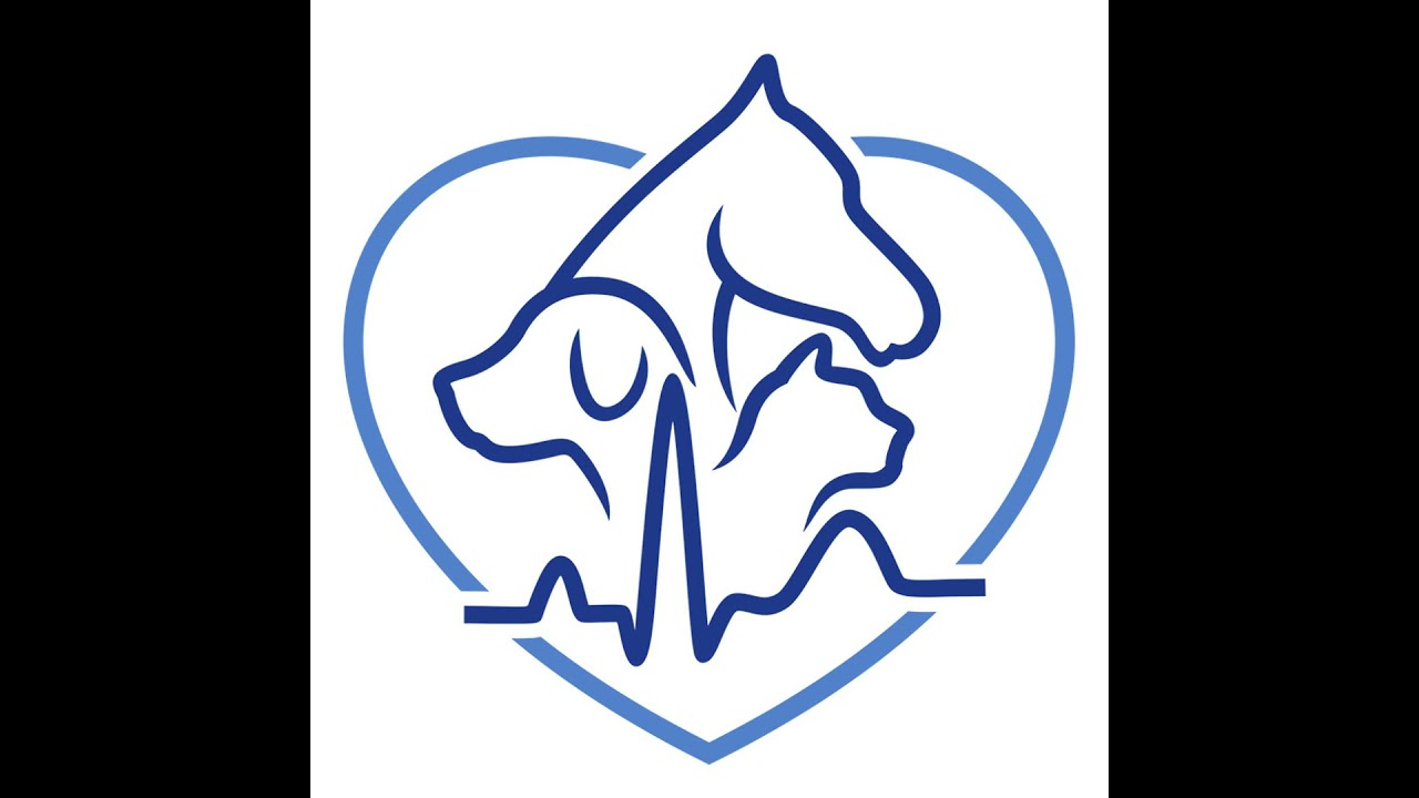 London Vet Show LIVE: Cardiology in Primary Care Practice