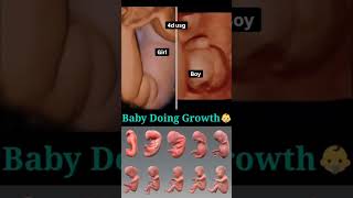 4D Ultrasound Scan Of Pregnant Women