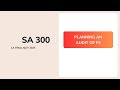 CA Final SA 300 Planning an Audit of FS for May 2025 in Telugu #cafinal #icai #audit