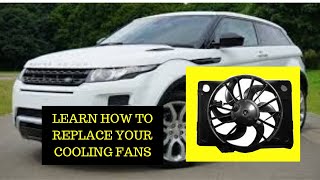 Celebrity How to TEST your cooling fans on your FORD EDGE QUICK & EASY Net Worth