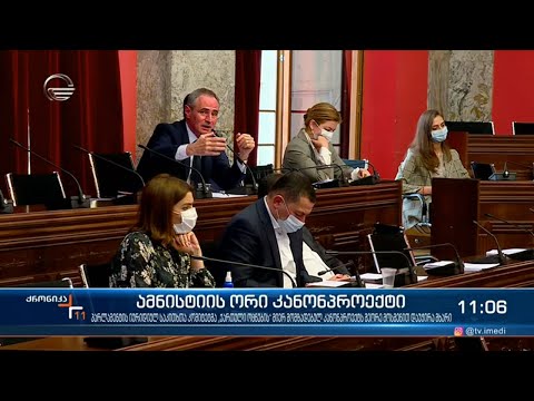 ამნისტიის ორი კანონპროექტი