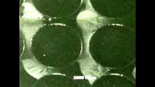 Video of DC Dielectrophoretic concentration of DNA using insulator ...