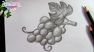 Cómo dibujar racimo de UVAS con LÁPIZ - Paso a paso