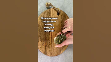 Как открыть устрицы?! Деликатеска.ру