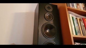 من الإبداعات النادرة التاريخي للقارئ الطبيب أحمد نعينع | من سورة الإسراء