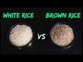 White Rice vs Brown Rice |  Which is Healthier?  | DP Fitness