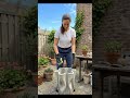DIY Cactus Planter Setup 🌵✨ #cementcraft #creative