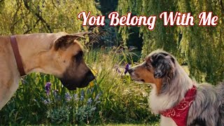 Marmaduke X Mazie You Belong With Me