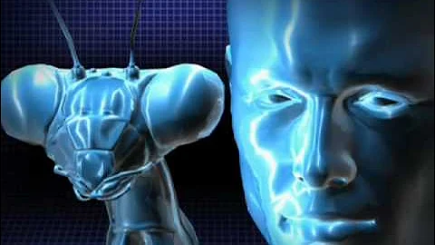 Nature's Perfect Predators - Praying Mantis