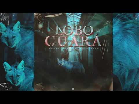 YOUNG TORVI - LOBO GUARÁ 🐺 (Ft. NexoAnexo) (LYRIC VIDEO)