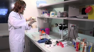 The BIG picture on nanotechnology