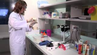 The BIG picture on nanotechnology