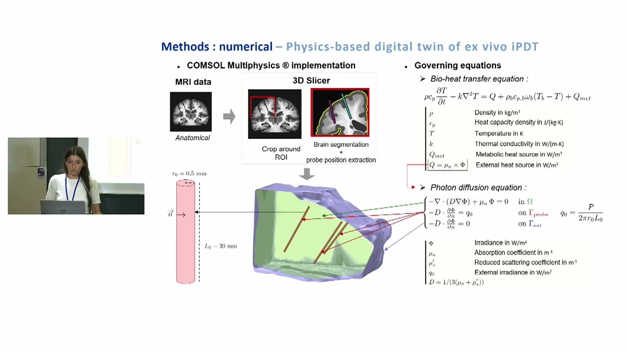 C10 Experimentally validated thermal digital twin for interstitial photodynamic therapy(iPDT)