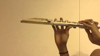Adele- Hello (Flute Cover by 808FluteGirl)