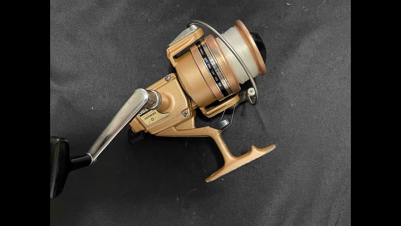 Daiwa B-250 Crosswind Gear Post Repair -- Young Martin's Reels 