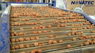 Novatec S.A. - Sorting, Weighing & Packing Line for Potatoes