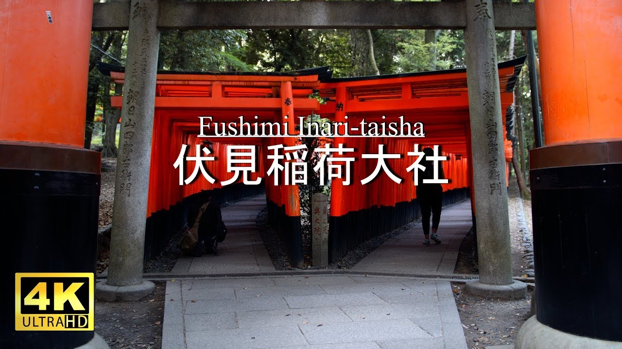 4k 伏見稲荷大社 Fushimi Inari Taisha Shrine Kyoto Youtube
