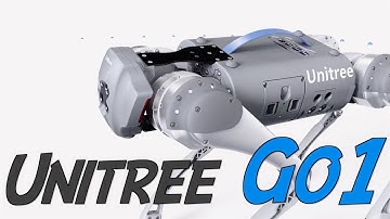Unitree Go 1: The Robot Dog?
