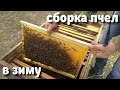 Сборка пчел в зиму в лежаках 27.09.2019