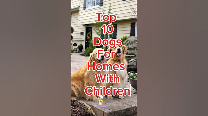 Top 10 Dogs For Home with Children Funn #dogs  #shorts