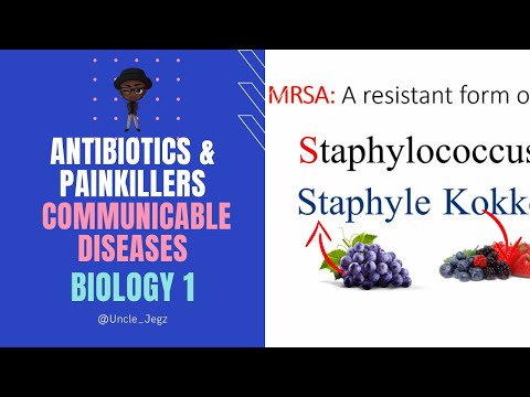 Antibiotics & Painkillers