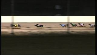 SHP MON 26 JAN 15 R10