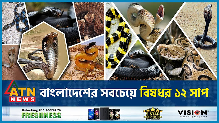 বাংলাদেশের সবচেয়ে বিষধর ১২ সাপ | Poisonous Snake | BD Snake | Russels Viper | ATN News