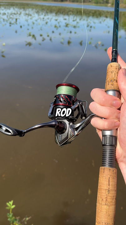 How to Choose a Fishing Rod! 🤫🎣