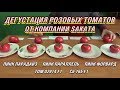 ДЕГУСТАЦИЯ РОЗОВЫХ ТОМАТОВ ОТ SAKATA - ПИНК ПАРАДАЙЗ, ПИНК ПАРАЛЛЕЛЬ, ПИНК ФОРВАРД, 02914 F1, 165 F1