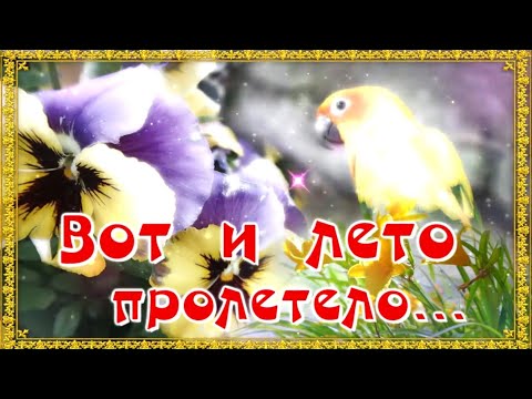Вот и лето пролетело... Здравствуй осень🍁🍂