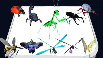 MAX LEVEL - Merge Ant: Insect Fusion ⚜️ Merge Master