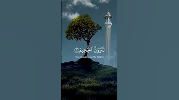 سورة التكاثر/ القارئ : خالد الجليل