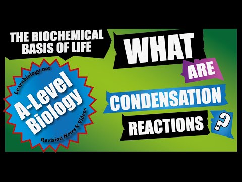 Video: Kodėl DNR kondensavimas yra toks svarbus?