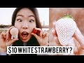 $10 Japanese White Strawberry. 🍓🤔