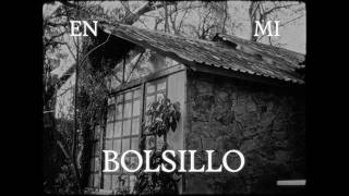 quererla - en mi bolsillo (Video Oficial)