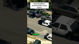 hero k9 officer honored after duty injury. #K9Funeral #FallenK9 #PoliceDog #PoliceK9 #K9Hero #K9
