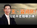 王岐山与习近平闹掰?习近平走错棋就是从这里开始的(政论天下第127集 20200306)天亮时分