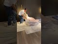 🏡新発見！自宅で簡単組立ソファ✨時間短縮＆空間ワイド化